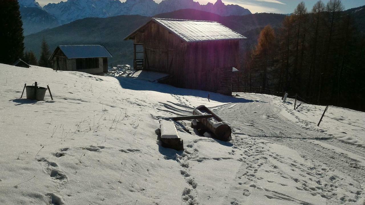 Balcone Sulle Dolomiti Apartment Comèlico Superiore Exterior foto